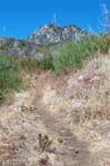 Path