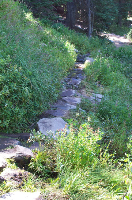 Path
