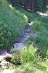 Path
