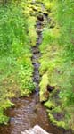 Stream
