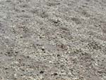 Texture