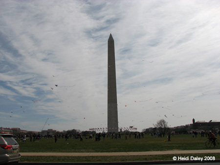 DC Cherry Blossoms 2008 -101