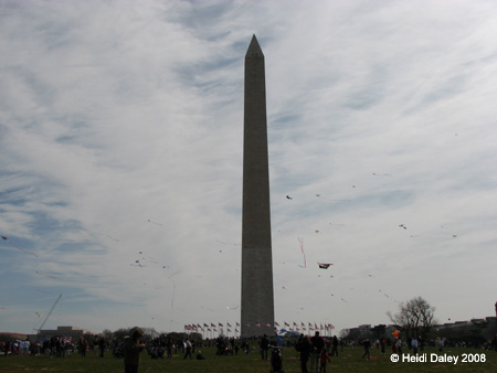 DC Cherry Blossoms 2008 -102