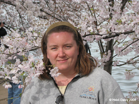 DC Cherry Blossoms 2008 -130