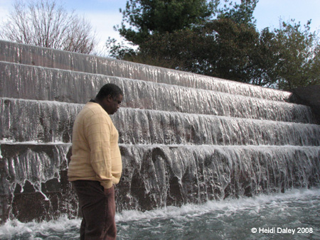 DC Cherry Blossoms 2008 -144