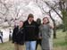 DC Cherry Blossoms 2008 -135