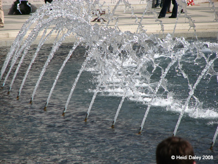 DC Cherry Blossoms 2008 -100