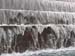 DC Cherry Blossoms 2008 -141