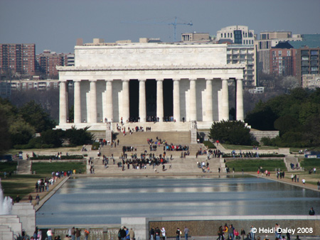 DC Cherry Blossoms 2008 -029