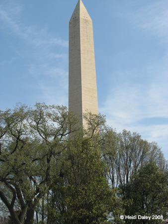 DC Cherry Blossoms 2008 -037