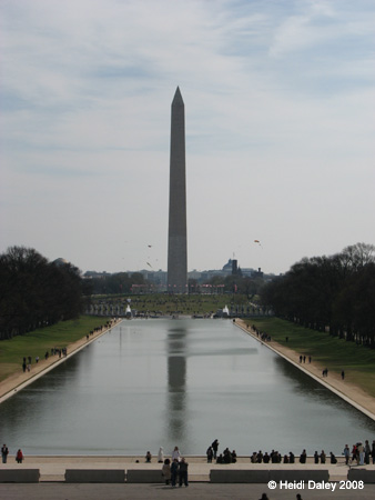 DC Cherry Blossoms 2008 -077