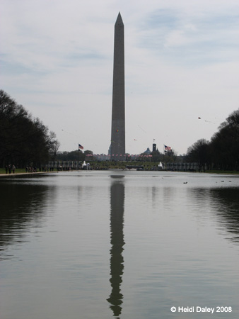 DC Cherry Blossoms 2008 -078