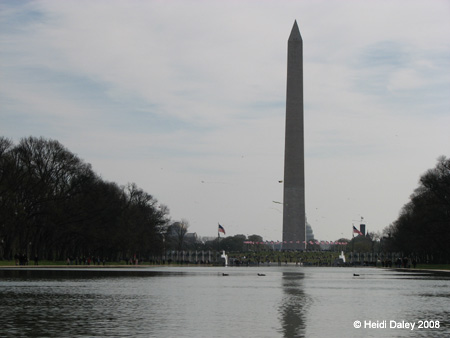 DC Cherry Blossoms 2008 -087