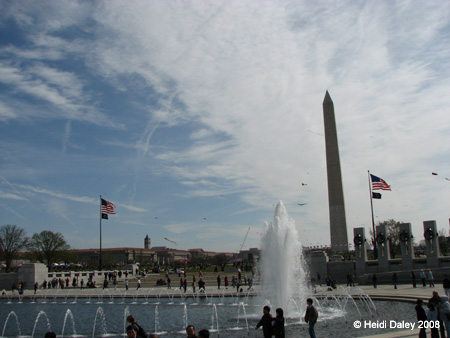 DC Cherry Blossoms 2008 -090