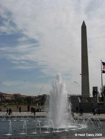 DC Cherry Blossoms 2008 -091