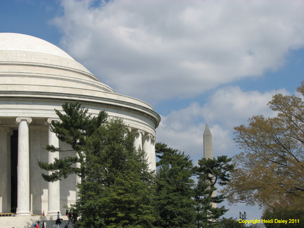 DC - Cherry Blossoms - 4-3-11 043
