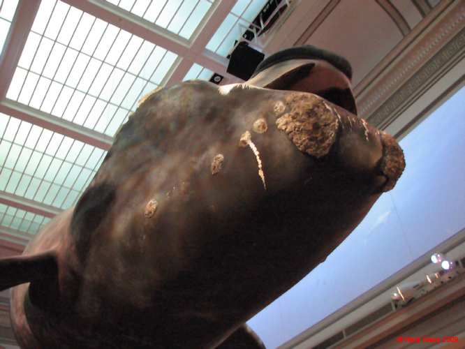 DC- 4-April-09-055-1