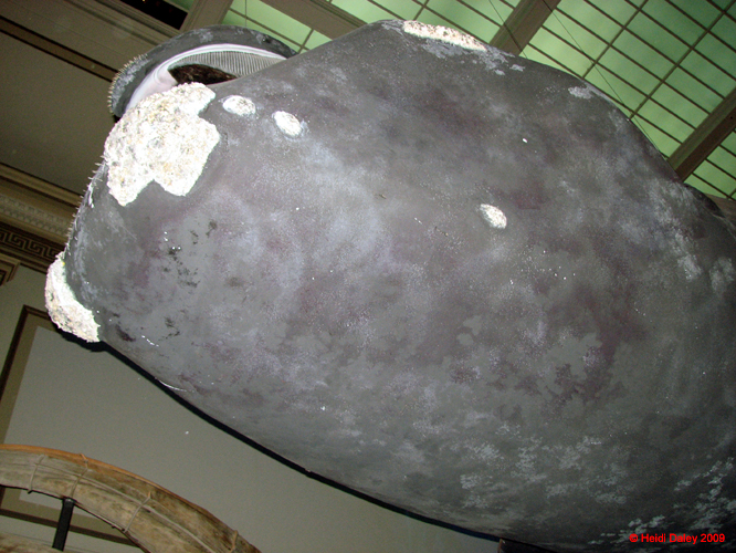 DC- 4-April-09-058-1