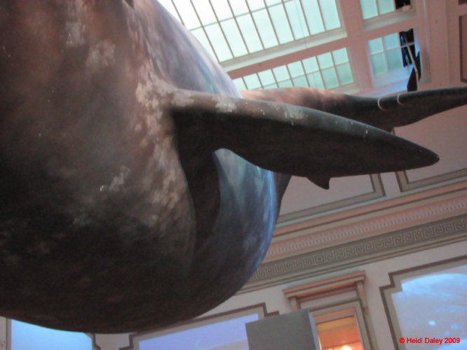 DC- 4-April-09-059-1