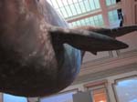 DC- 4-April-09-059-1