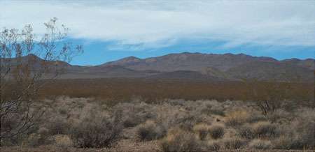 Green Valley 1