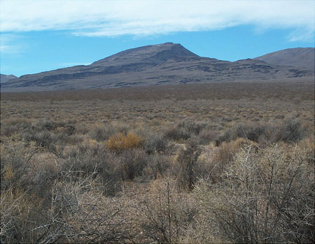 Green Valley 4