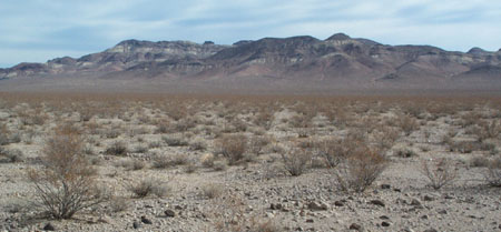 Green Valley 5