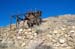 Eureka Mines 7
