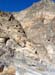 Titus Canyon 8