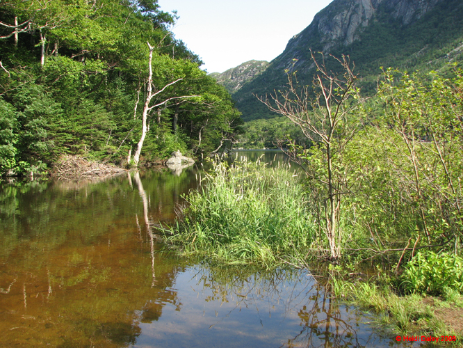 FranconiaNotch -013