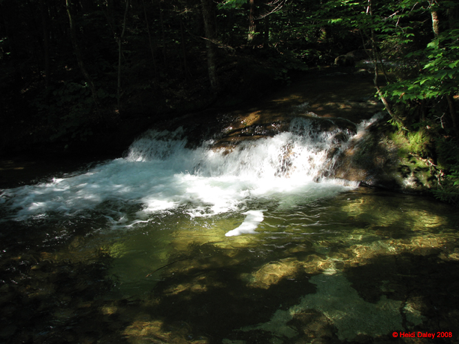 The Basin -001