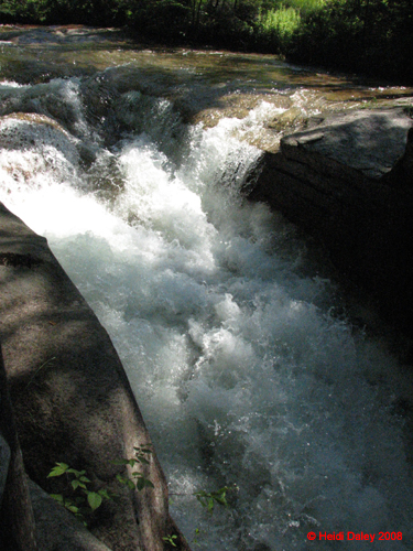 The Basin -015