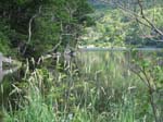 FranconiaNotch -011