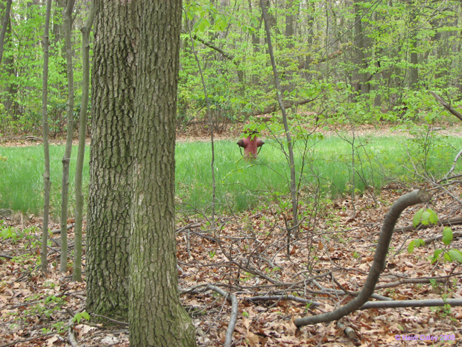 French-Creek003