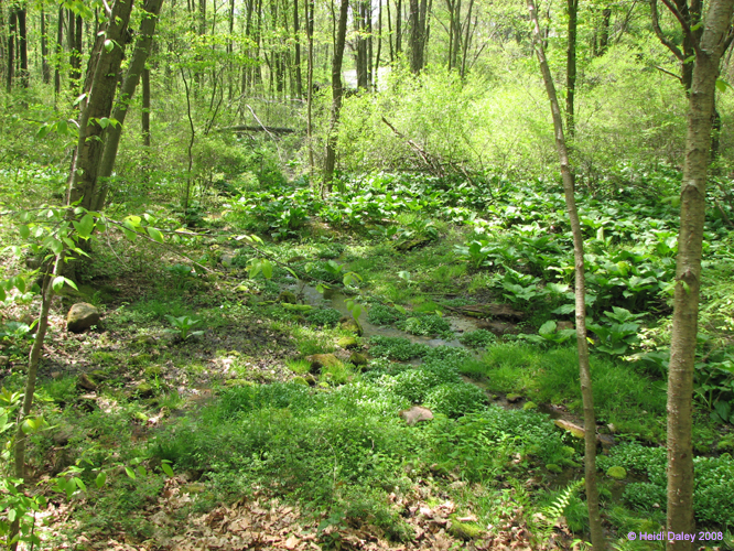 French-Creek011