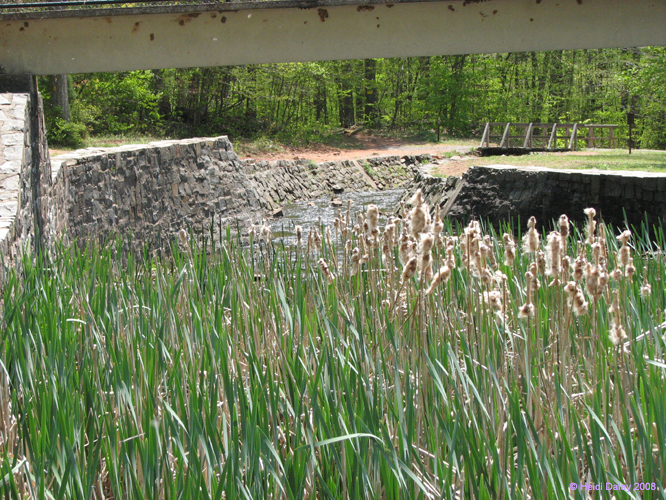 French-Creek015