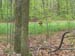 French-Creek003