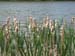 French-Creek013