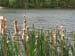 French-Creek014