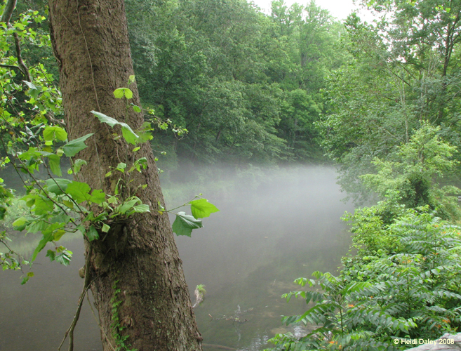 GunPowderFalls6-29-08 -002-1