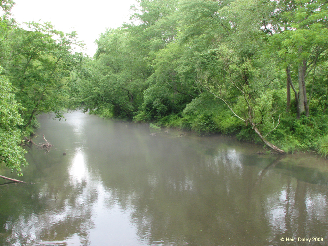 GunPowderFalls6-29-08 -004