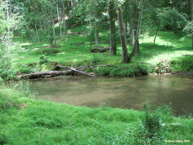GunPowderFalls6-29-08 -023 -1