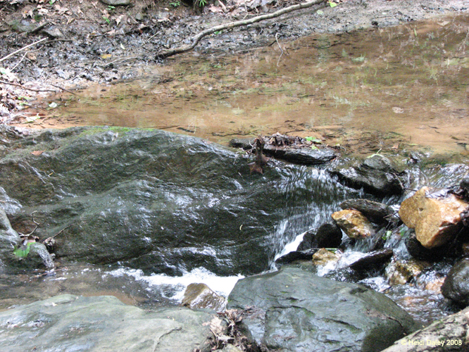 GunPowderFalls6-29-08 -024