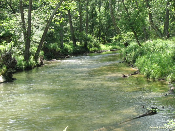 GunPowderFalls6-29-08 -036