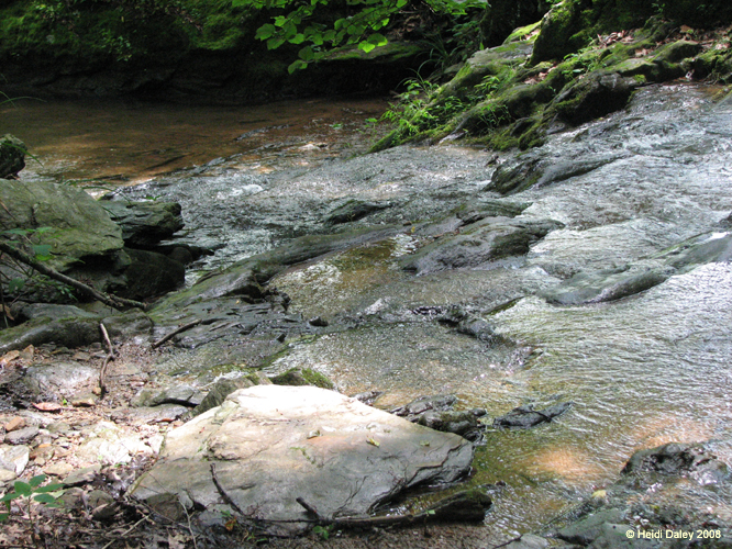 GunPowderFalls6-29-08 -041