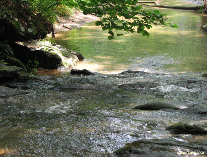 GunPowderFalls6-29-08 -042-1