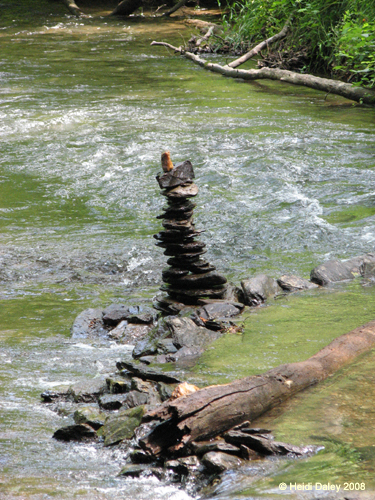 GunPowderFalls6-29-08 -043