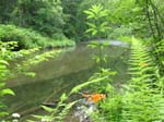 GunPowderFalls6-29-08 -005