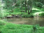 GunPowderFalls6-29-08 -023 -1