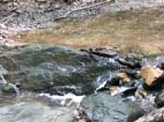 GunPowderFalls6-29-08 -024